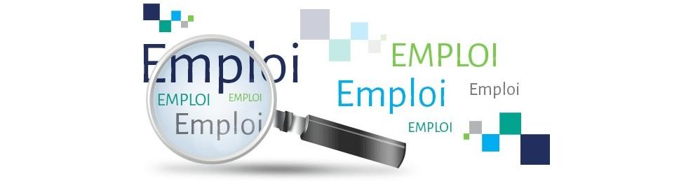Recherche d emploi marche du travail